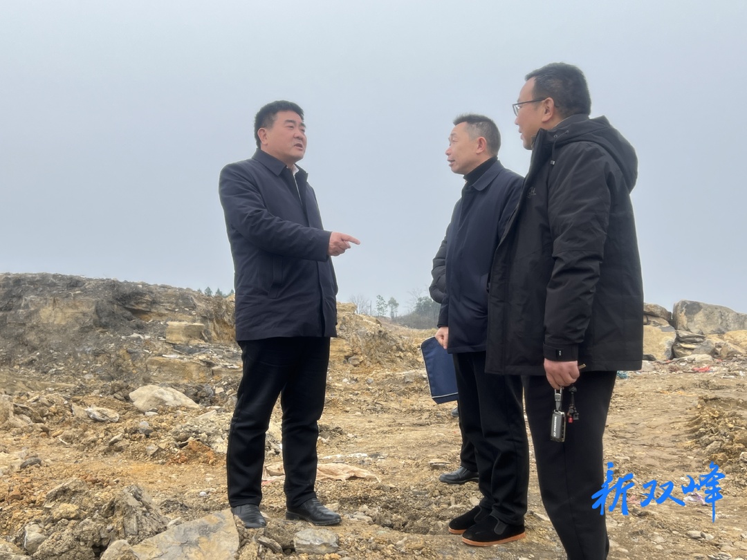 王德文到三塘铺镇调度双峰高新区装备制造产业园项目建设