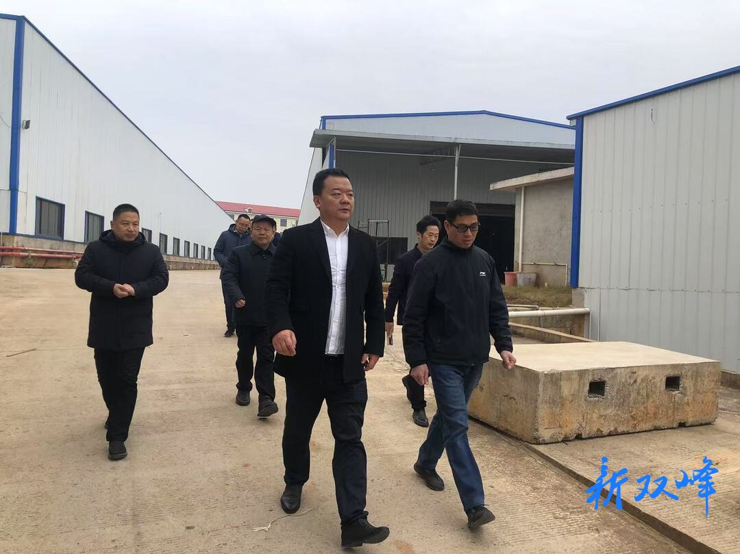 戴志雄现场调度重点项目建设推进情况