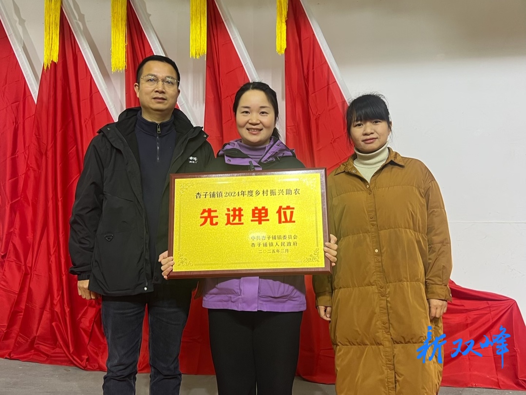 杏子铺镇：乡村振兴走新路 线上销售获奖励