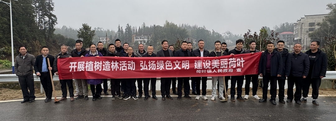 荷叶镇：“植”此春光传绿意，众心共“树”生态梦