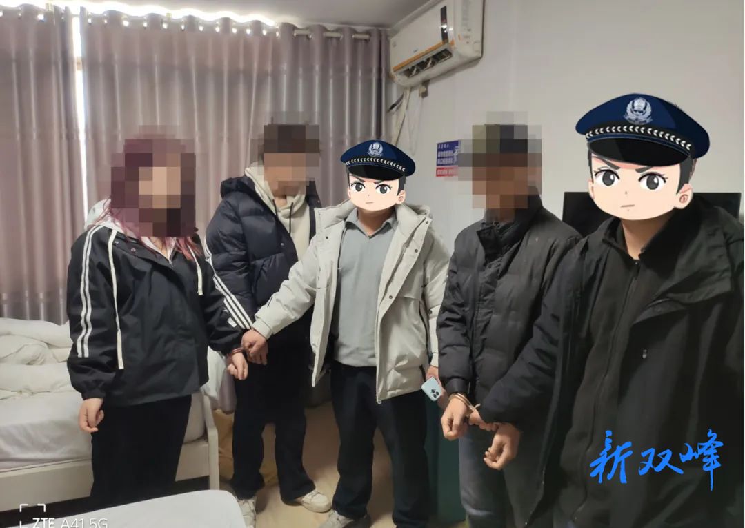 抓获5人！双峰公安破获系列盗窃案