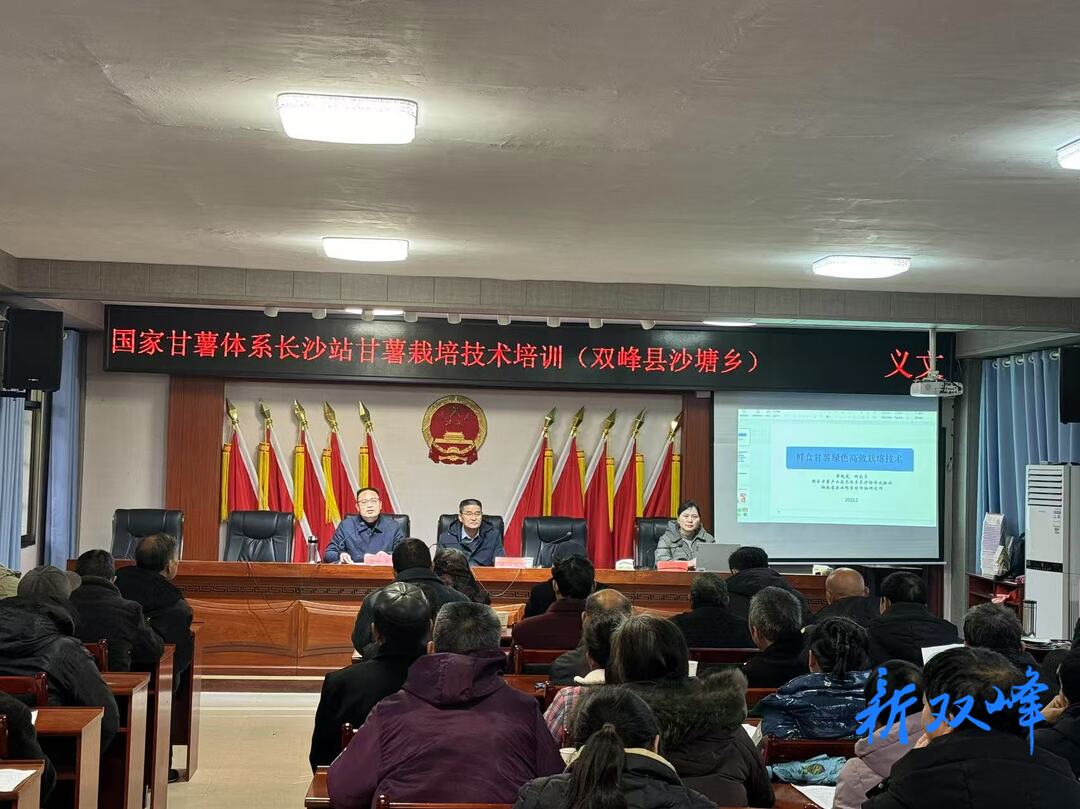 沙塘乡：专家传经送宝，科技赋能振兴