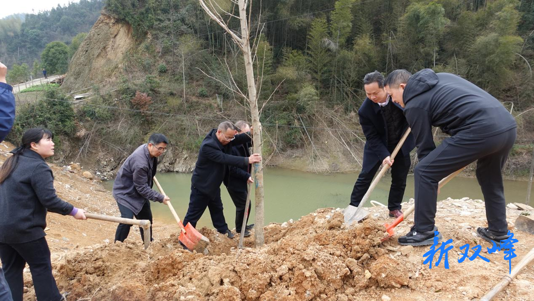双峰县财政局植树造林为大地添绿