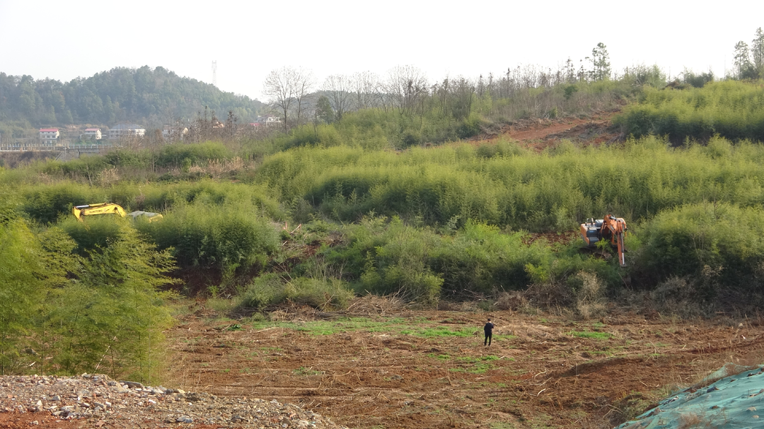 ​永丰街道：联合多部门清表腾地 助力重点项目建设“争春”提速