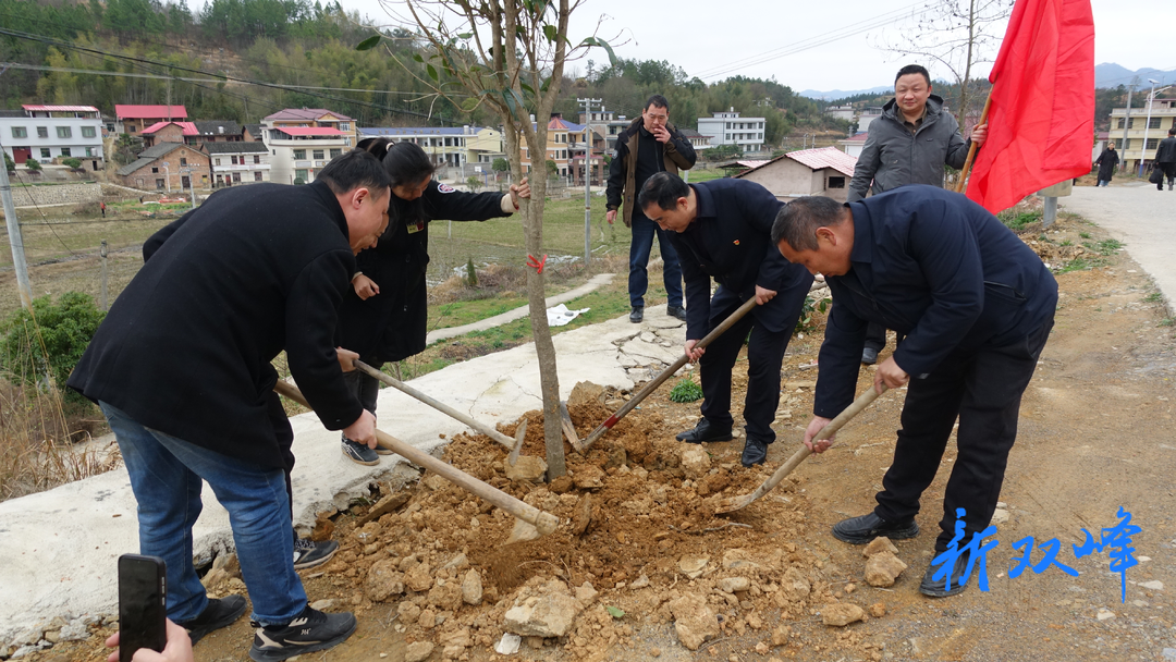 双峰县审计局：植树“植”到帮扶村