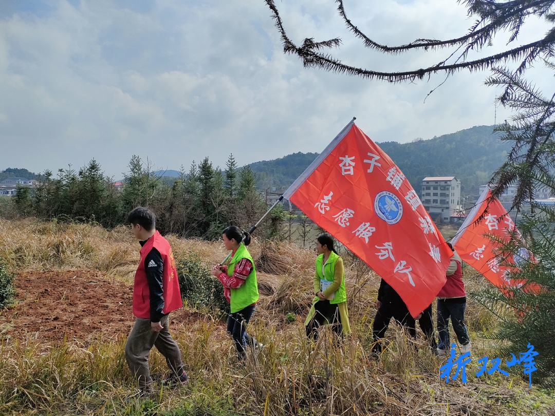 杏子铺镇：禁种踏查织密网 全域禁种护平安