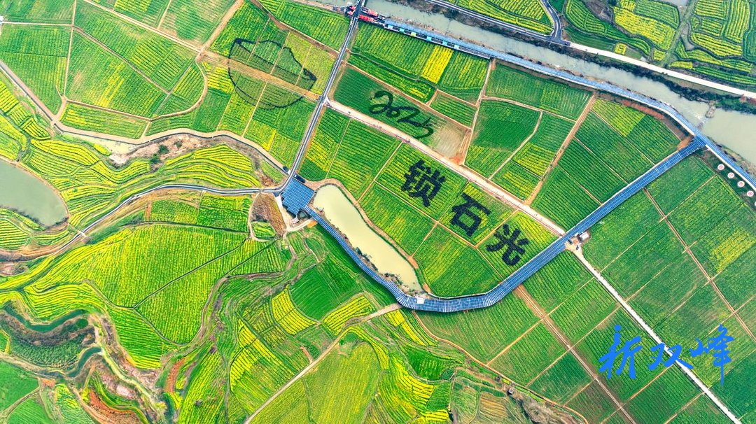油菜花为媒，农文旅共嗨——双峰县发布油菜花赏花旅游线路