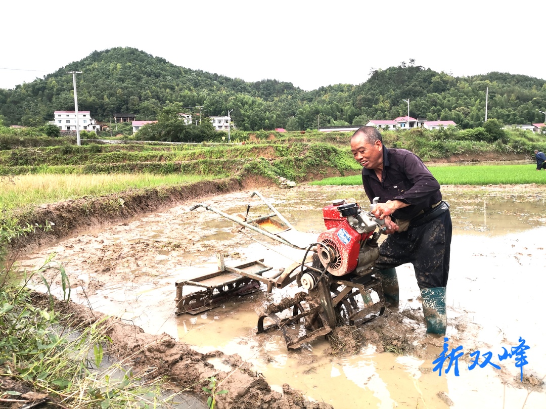 杏子铺镇：农技服务送到田间地头促春耕