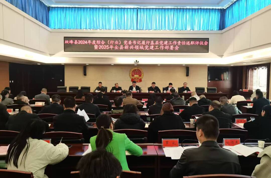 双峰县召开2024年度综合（行业）党委书记履行基层党建工作责任述职评议会暨2025年全县新兴领域党建工作部署会