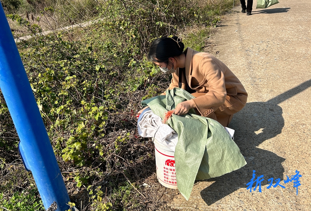 杏子铺镇掀起人居环境整治提升高潮