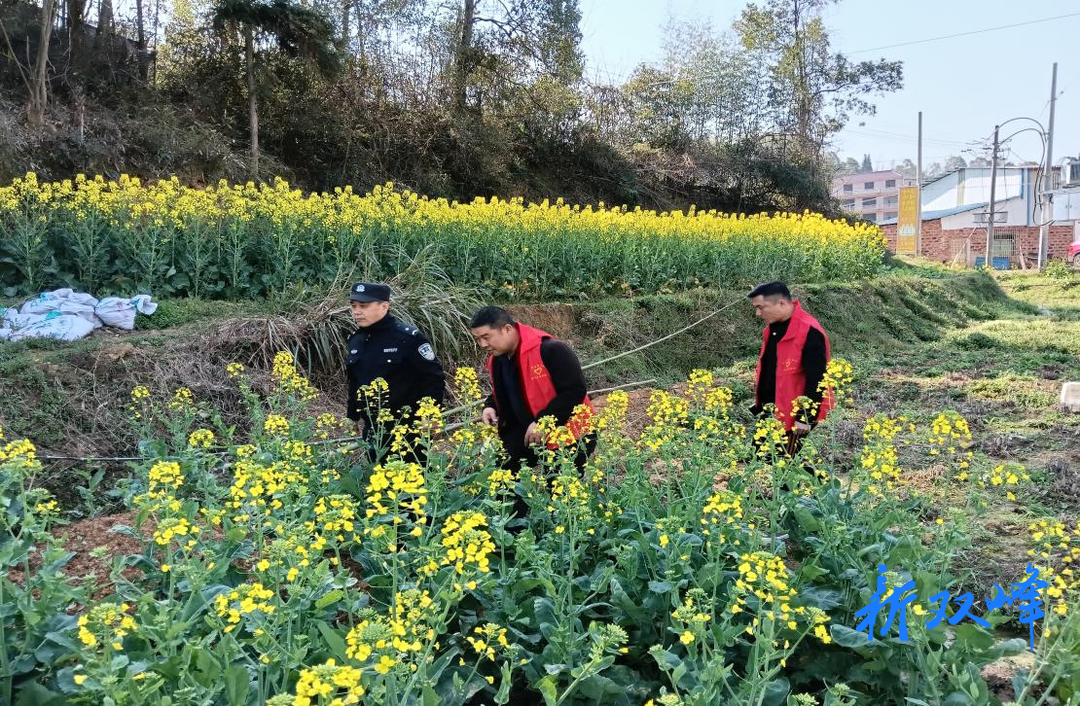 永丰街道开展禁种铲毒踏查志愿行动