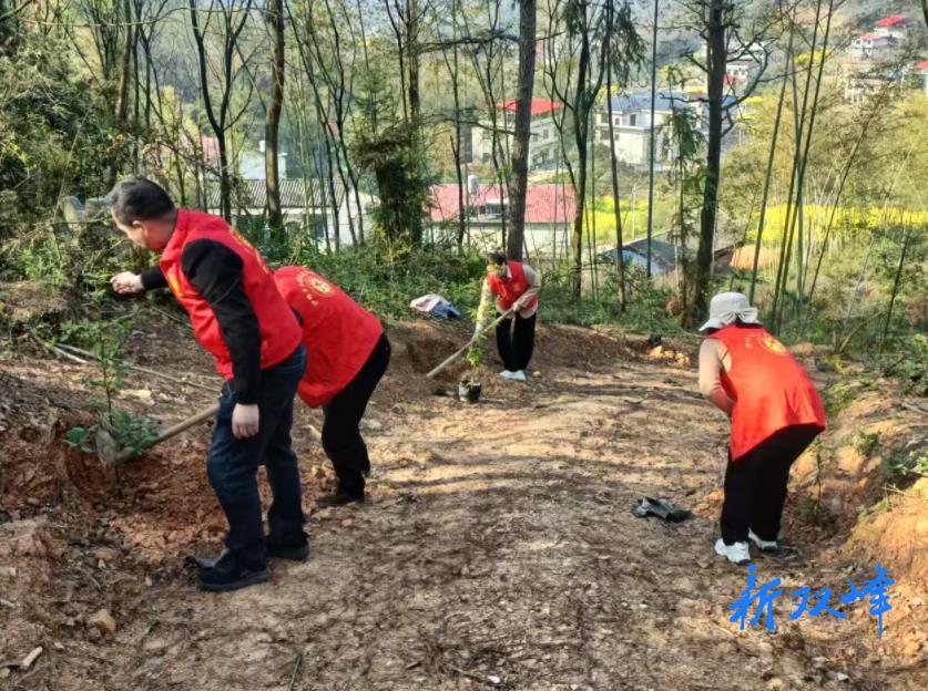 沙塘乡民实村：播撒绿色希望，共建美丽家园