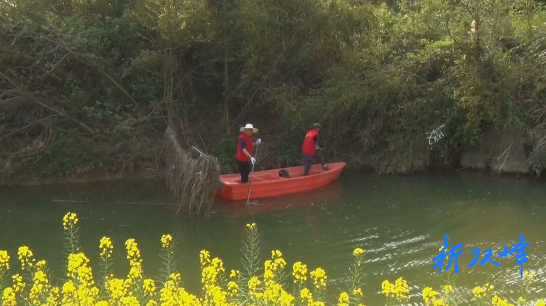 青树坪镇开展“清河净滩”专项行动 守护河道生态共建美丽家园
