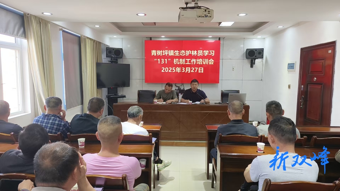 青树坪镇：严阵以待 筑牢清明森林防火线