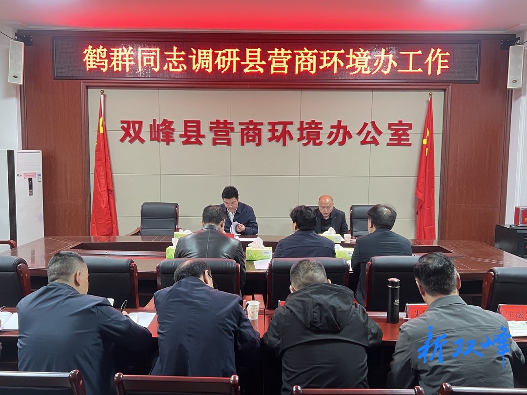 县领导到县营商环境办调研指导工作
