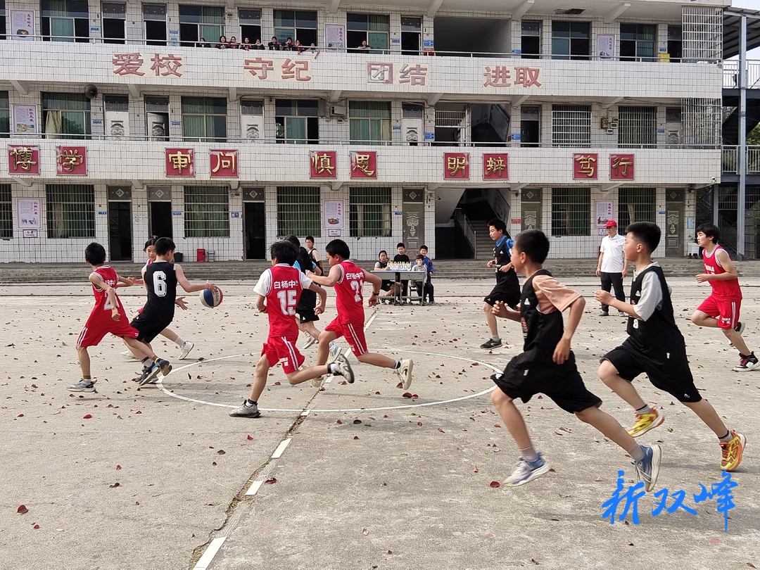 篮球跃动校园，活力点亮春日——走马街镇中心学校举办小学生篮球赛
