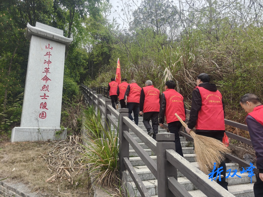 杏子铺镇组织志愿者开展清明烈士墓祭扫活动