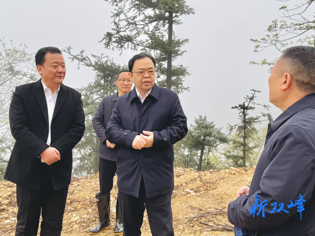 蒋天海来双峰调研防火、民生及春耕工作