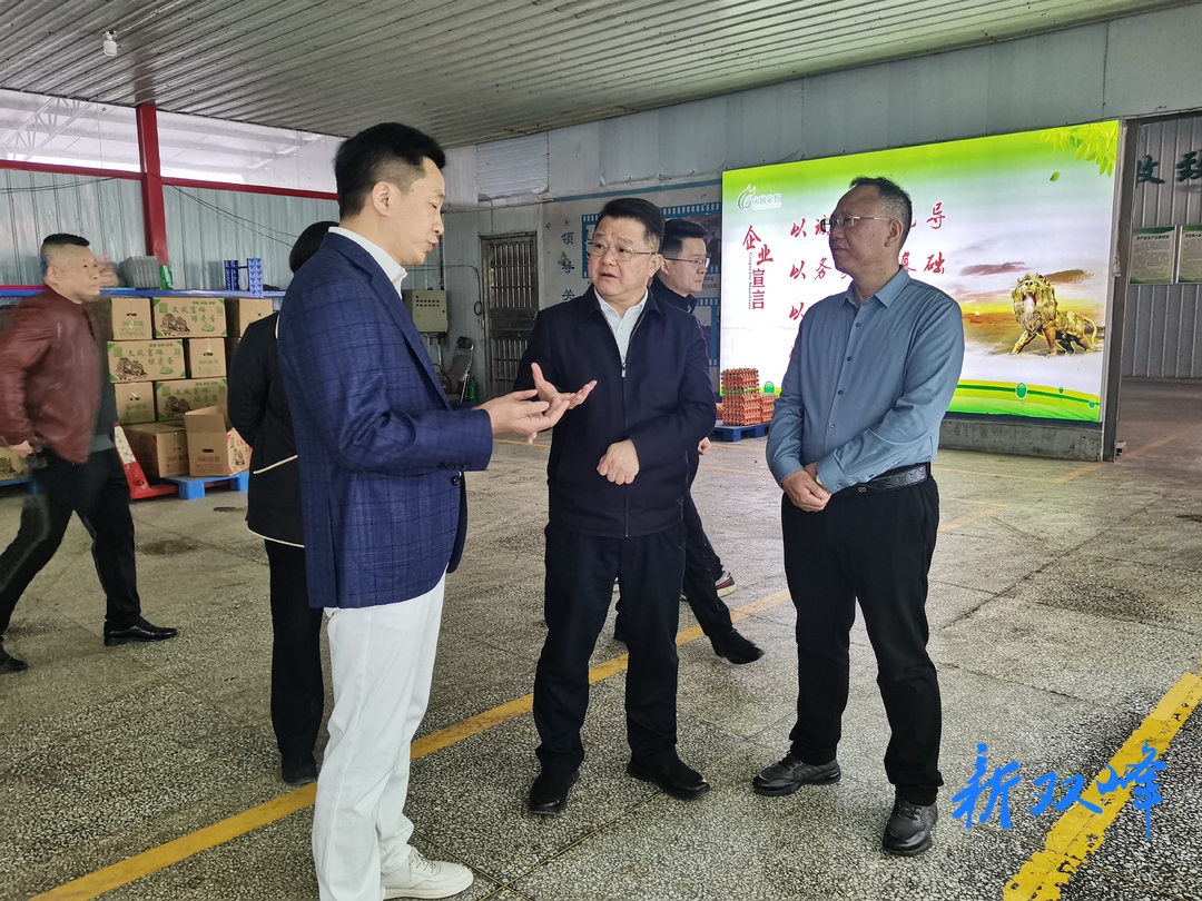 李铁雄来双峰调研“菜篮子”工程建设情况