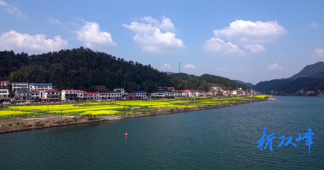 杏子铺镇：春意盎然诗意浓