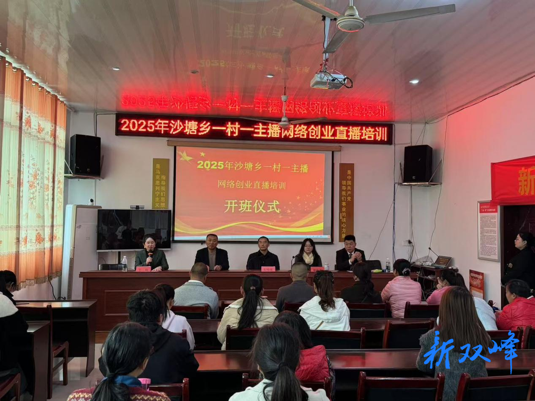 沙塘乡：电商直播培训，点燃乡村振兴新引擎