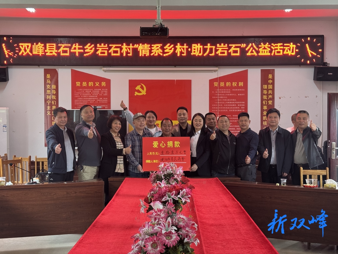 石牛乡岩石村举办“情系乡村·助力岩石”公益活动