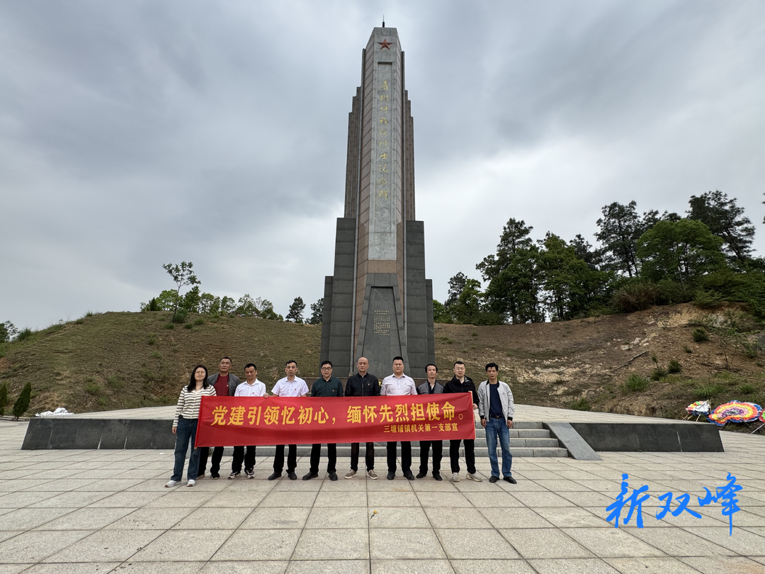 三塘铺镇机关第一党支部开展“党建引领忆初心  缅怀先烈担使命”主题党日活动