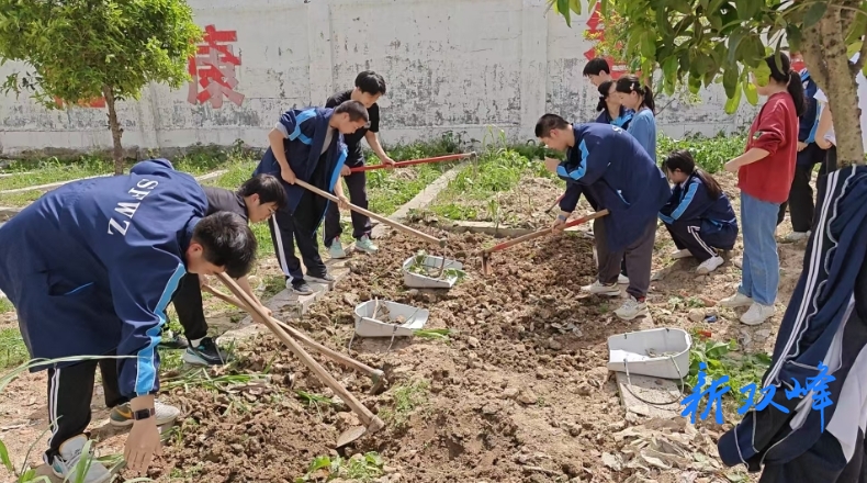 双峰五中：劳动实践教育出新招 学生化身“小农夫”耕耘成长