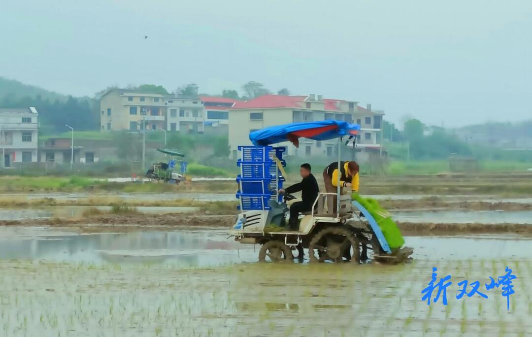 杏子铺镇：科技赋能春耕忙