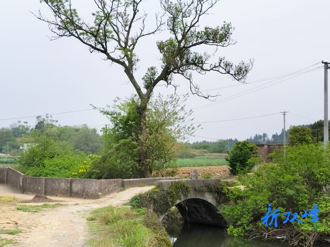母亲的大坝河