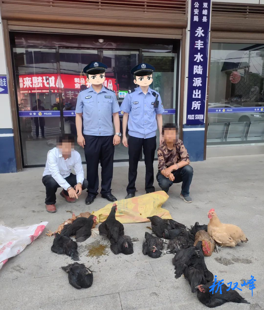 偷鸡不成蚀把米，2名男子盗窃19只鸡被拘！