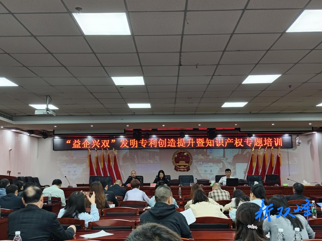 双峰县举办“益企兴双”发明专利创造提升暨知识产权专题培训