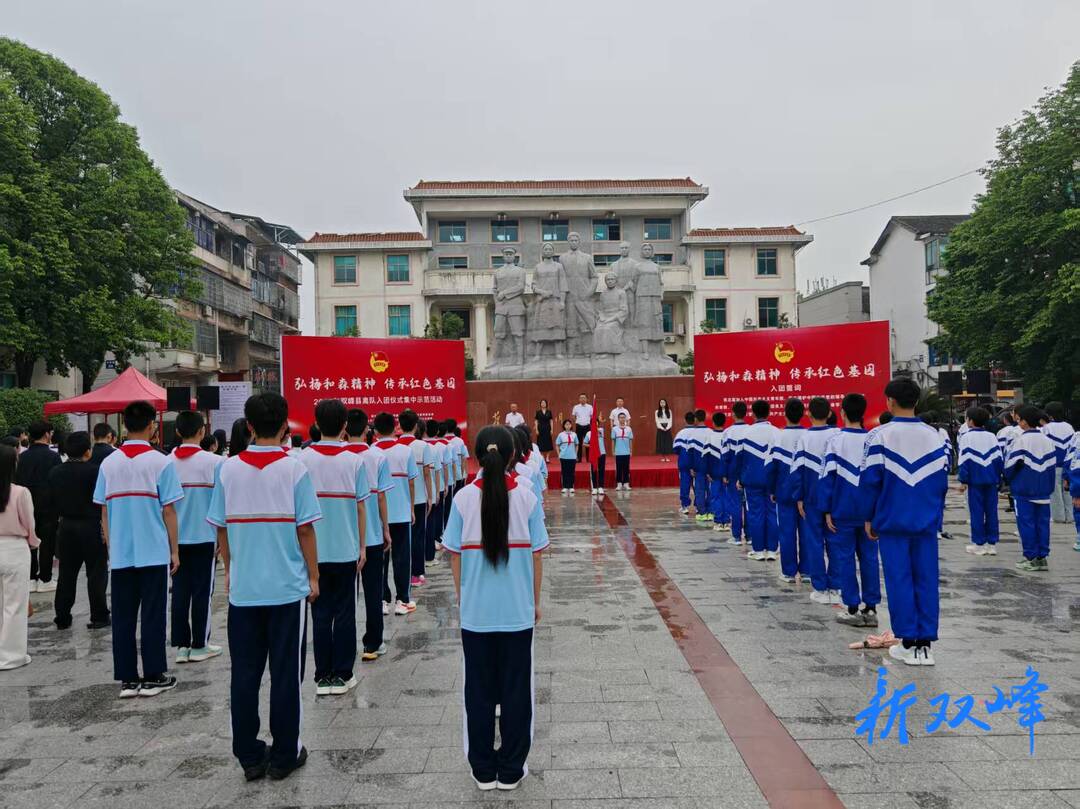 双峰县举办“弘扬和森精神 传承红色基因”离队入团仪式集中示范活动