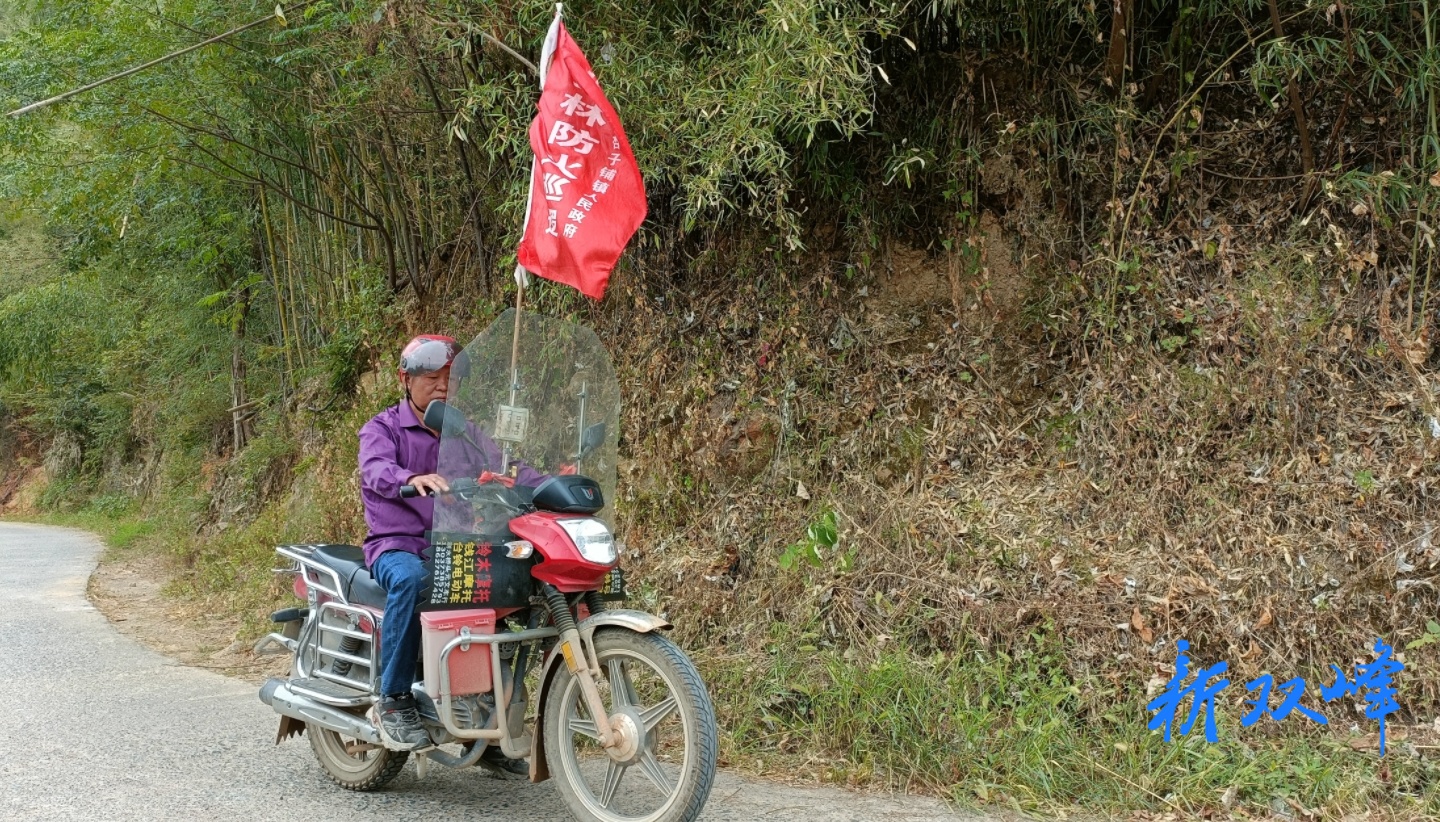 杏子铺镇人大：齐心协力共筑“森林防火墙”