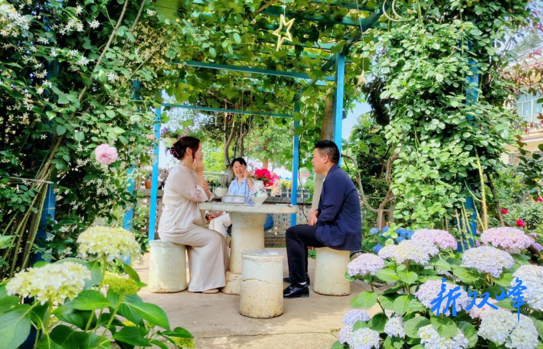 花开花落总多情