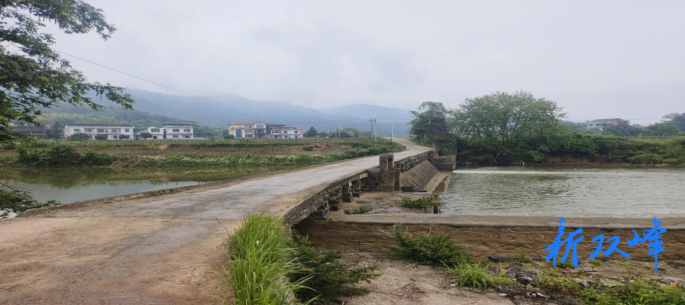 双峰交通：统筹推进建议（提案）办理，聚力架筑交通民生桥梁
