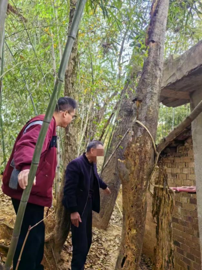 双峰法院：移除“纠纷树”，留住邻里情