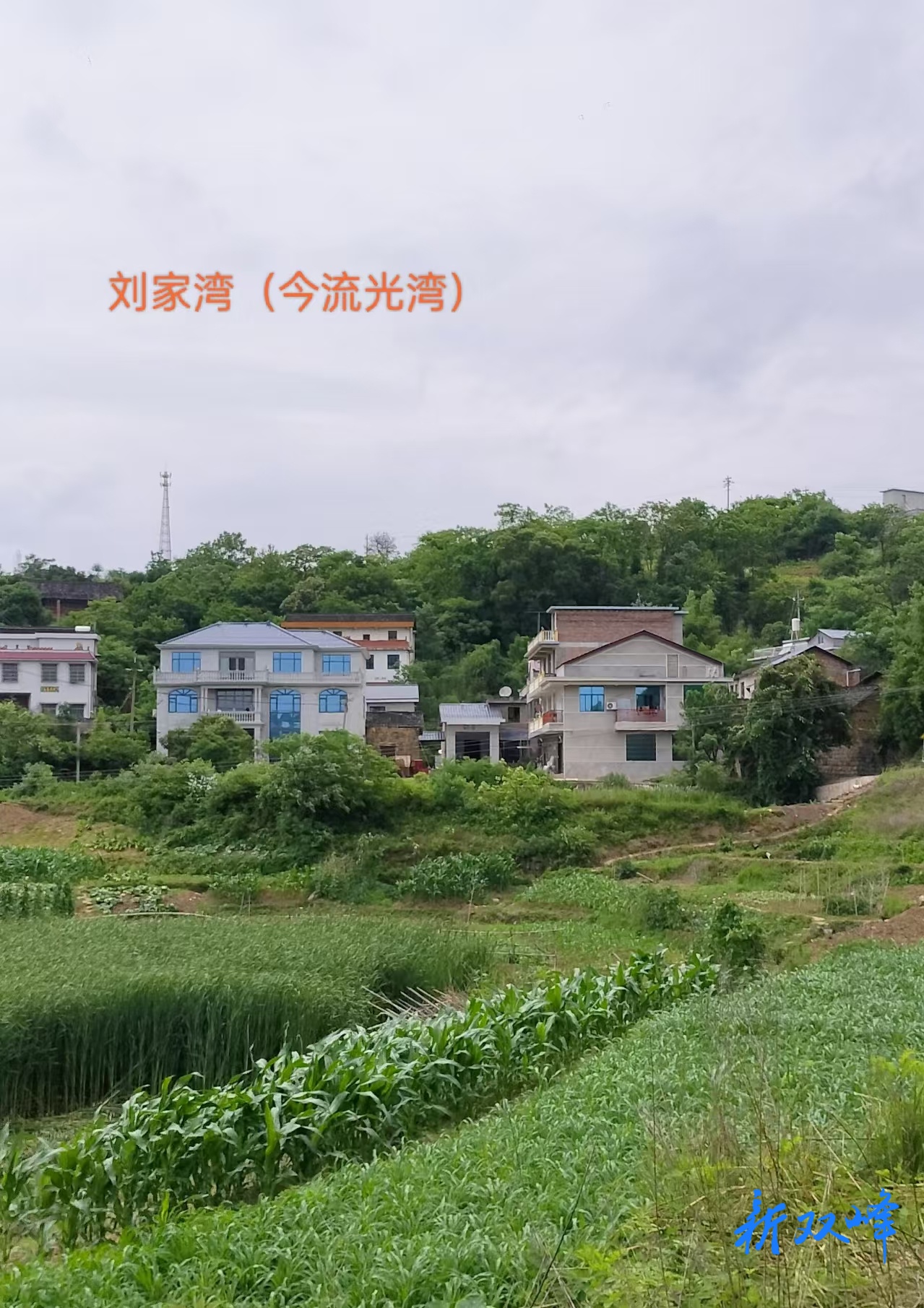 大富刘氏迁湘发祥地寻访记
