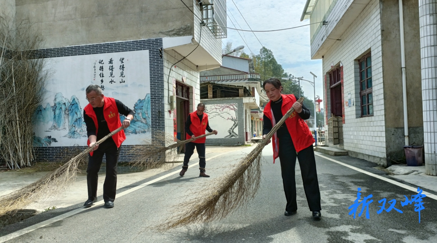 杏子铺镇合心村：扎实推进美丽乡村建设，擦亮乡村振兴底色