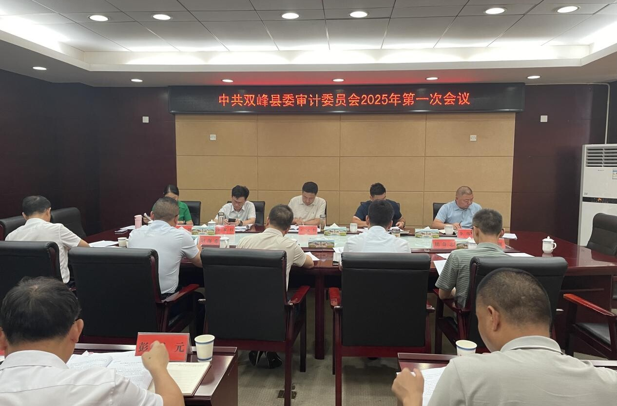 中共双峰县委审计委员会召开2025年第一次会议