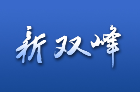 习近平：用中长期规划指导经济社会发展是我们党治国理政的一种重要方式