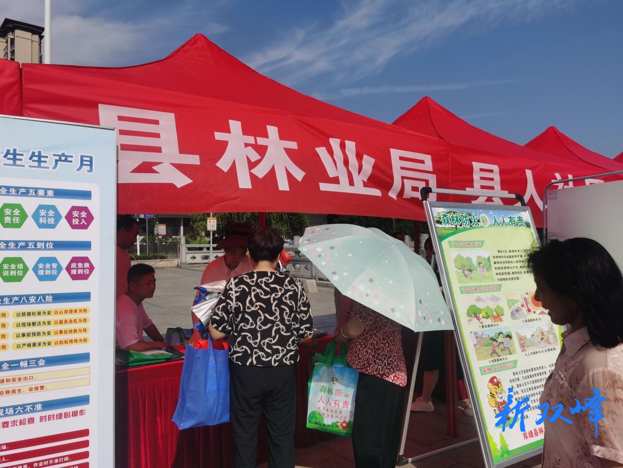 双峰县林业局机关三支部开展安全生产咨询日活动