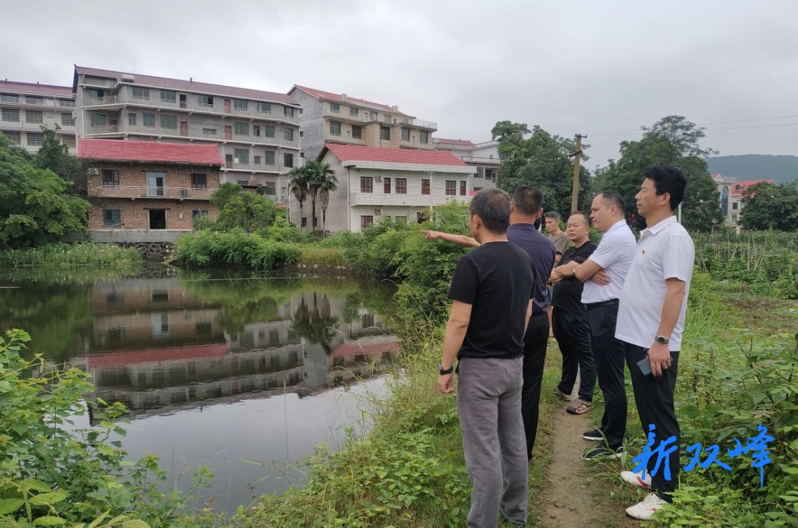 走马街镇：委员“诊脉”黑臭水体，共绘生态新景