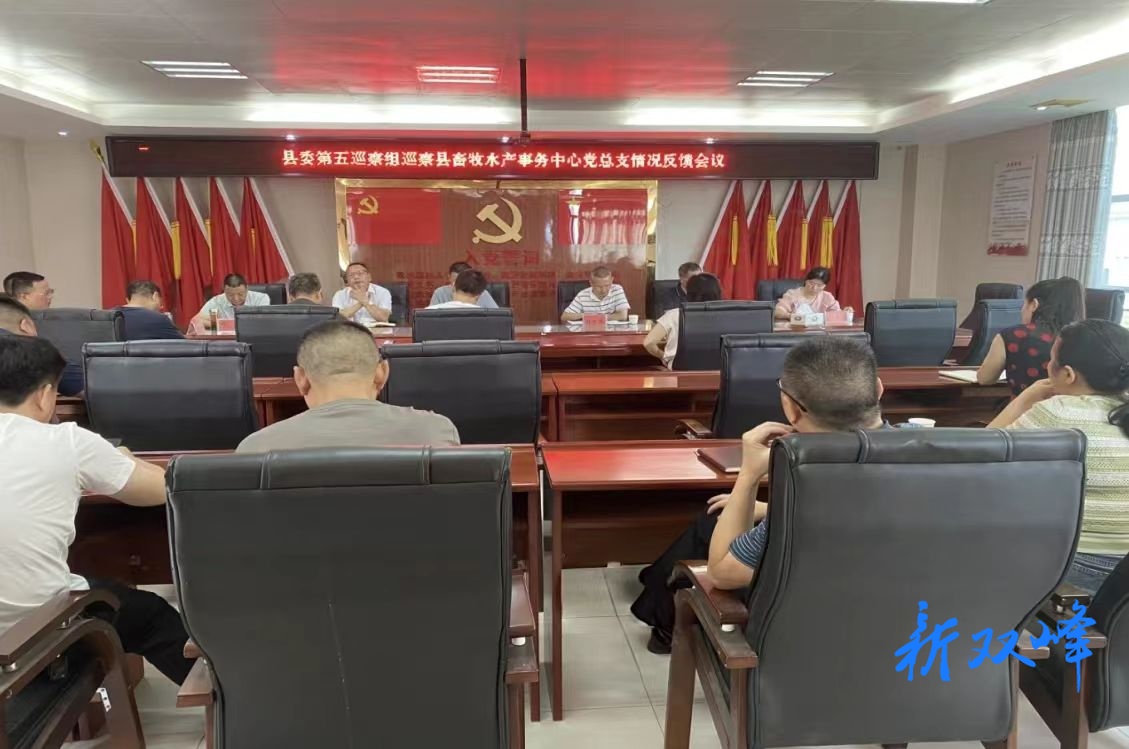 县委第五巡察组向县畜牧水产事务中心党总支反馈巡察情况