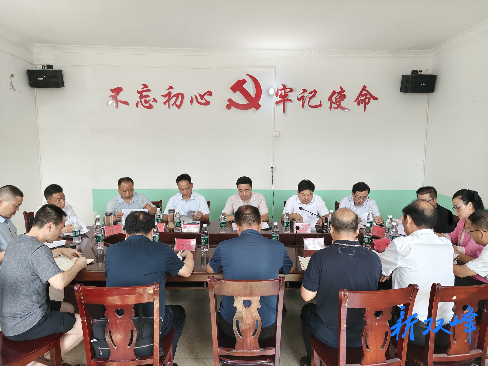 王文红到三塘铺镇大马冲村宣讲中央八项规定精神并调研乡村振兴工作