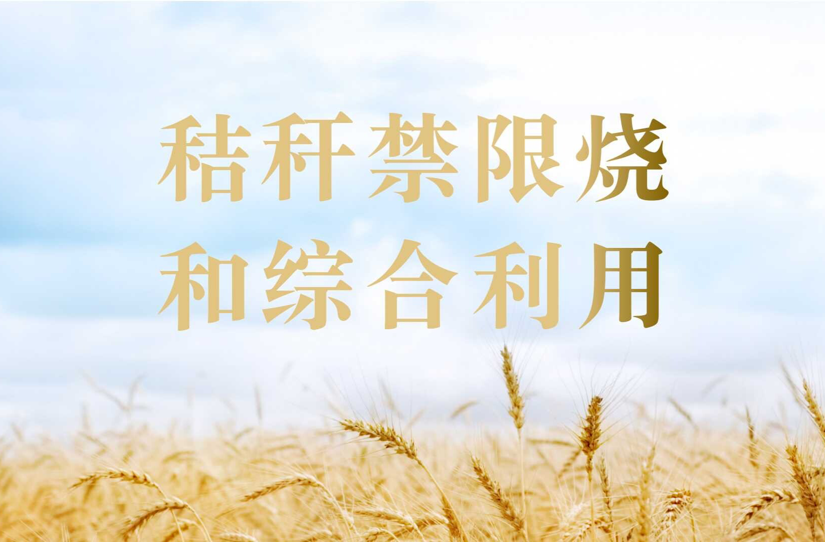 秸秆禁限烧和综合利用