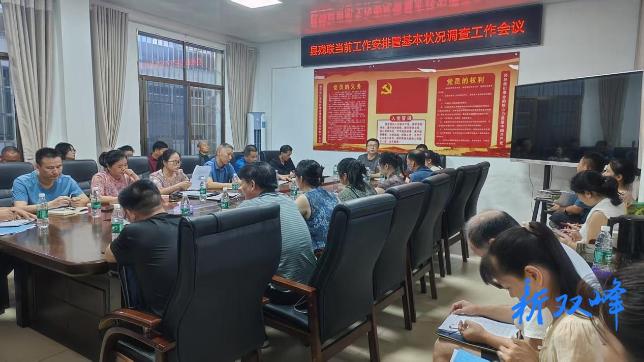 双峰县残联召开2025年度残疾人基本状态调查与当前工作推进会