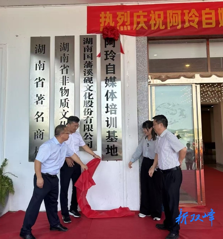 电商大咖加盟，杏子铺镇乡村振兴添新引擎