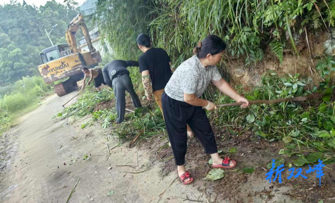 沙塘乡善塘村：清除杂草美环境 凝心聚力换新颜