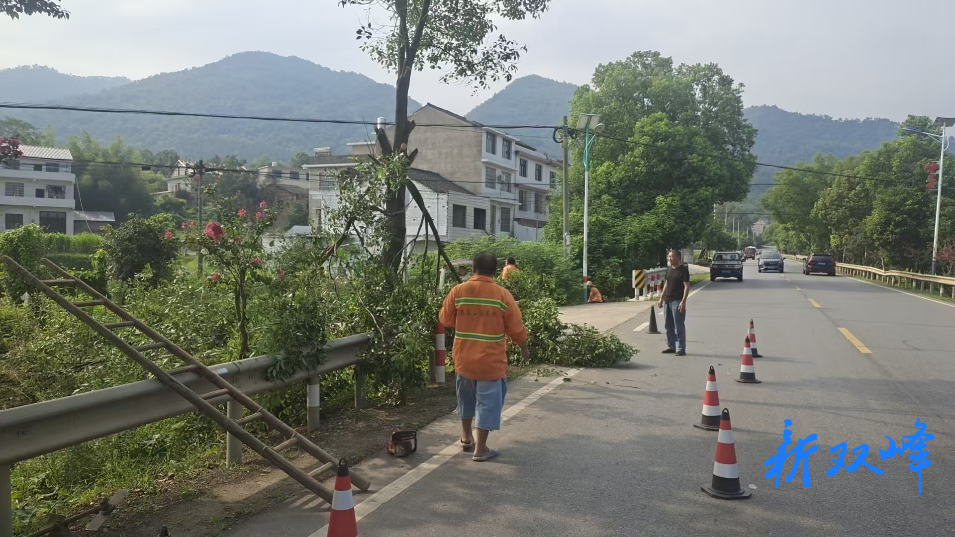 双峰公路：集中清理枯树隐患 筑牢道路安全防线